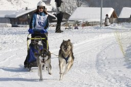Lenk 2012 SM